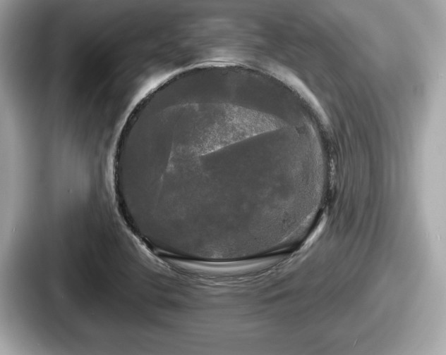 X0000087631412200705101018