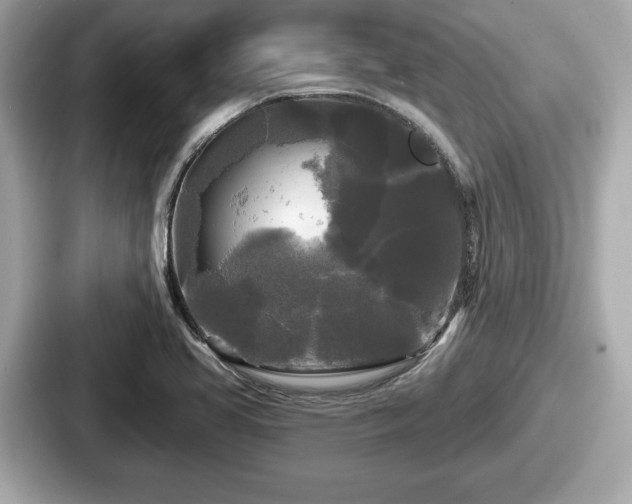 X0000087631413200705101018