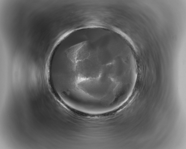 X0000087631415200705101018