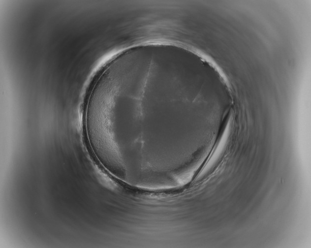 X0000087631416200705101018