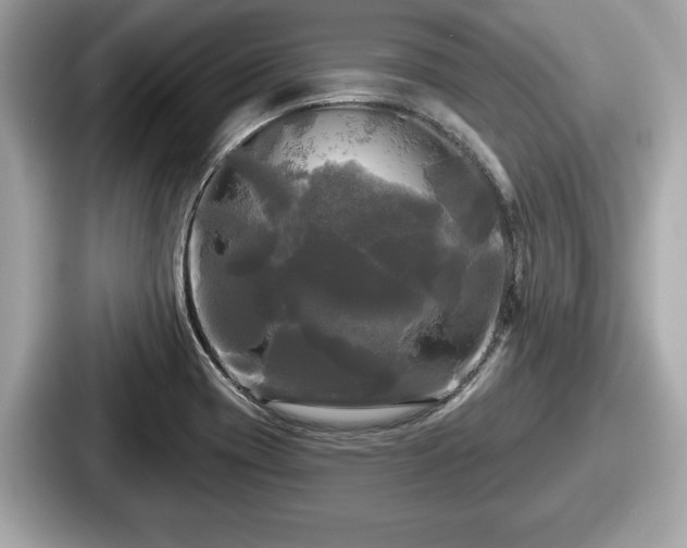 X0000087631417200705101018