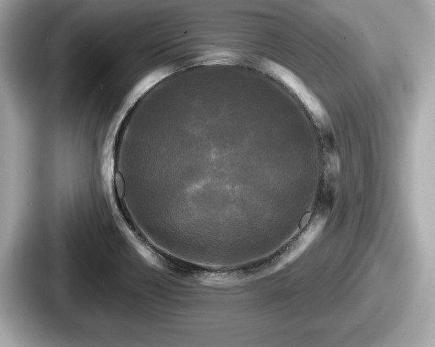 X0000087631418200705101018