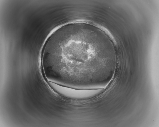 X0000087631420200705101018