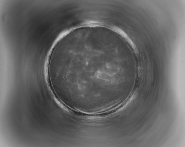 X0000087631421200705101018