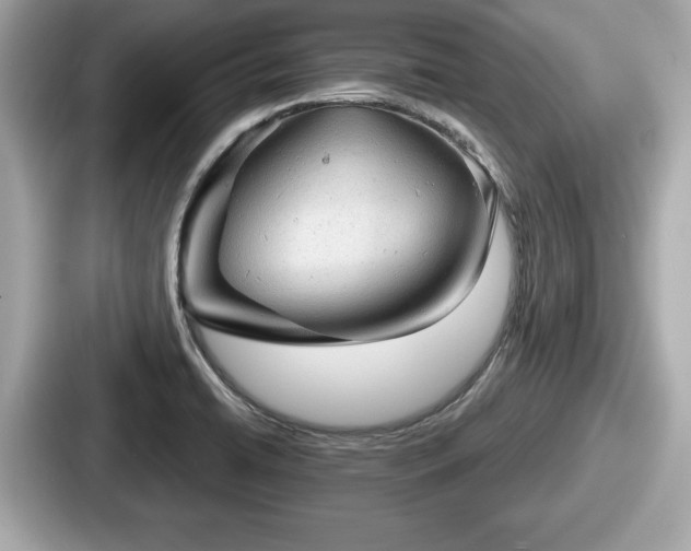 X0000087631422200705101018