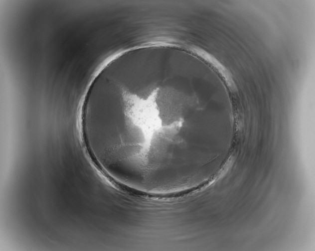 X0000087631423200705101018