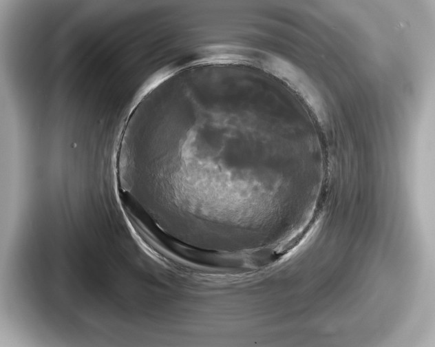 X0000087631425200705101019