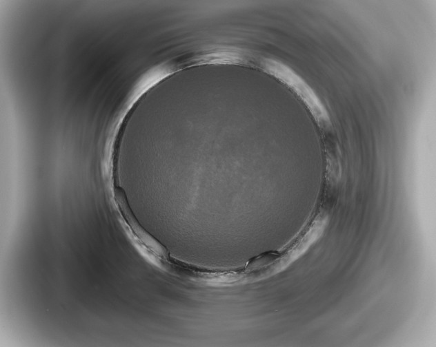 X0000087631426200705101019