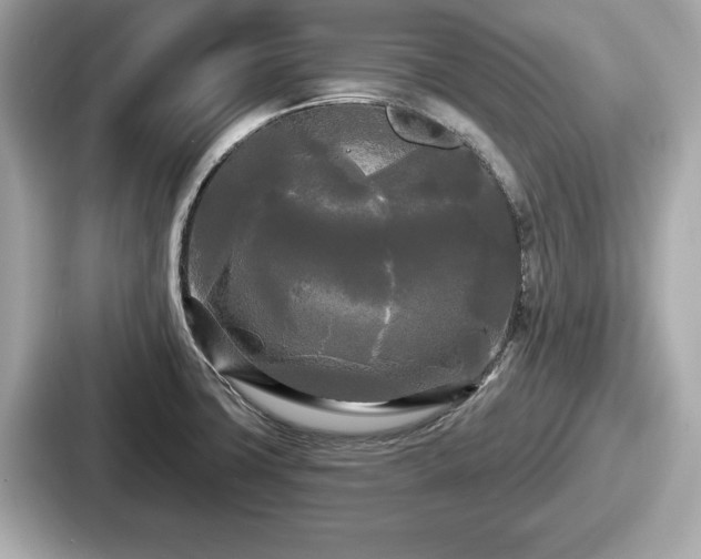 X0000087631427200705101019