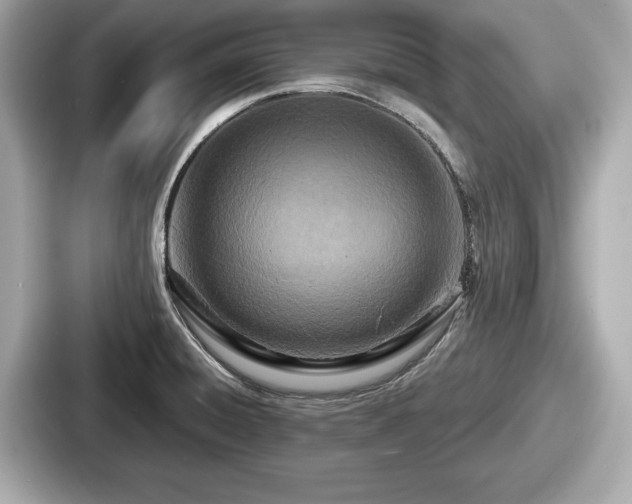 X0000087631428200705101019