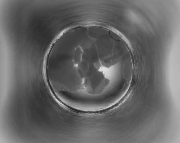 X0000087631429200705101019