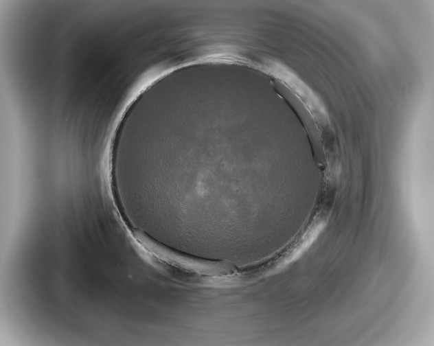 X0000087631430200705101019