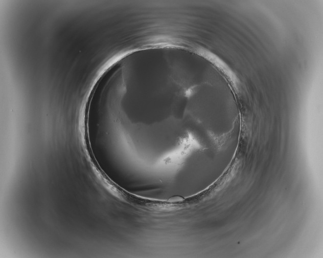 X0000087631431200705101019