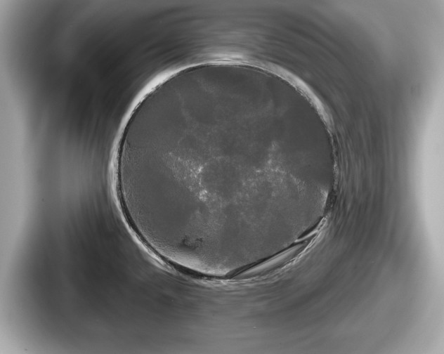 X0000087631432200705101019