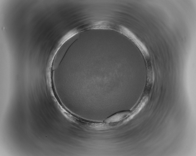 X0000087631434200705101019