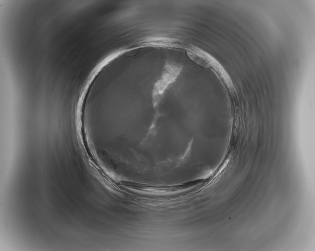 X0000087631435200705101019