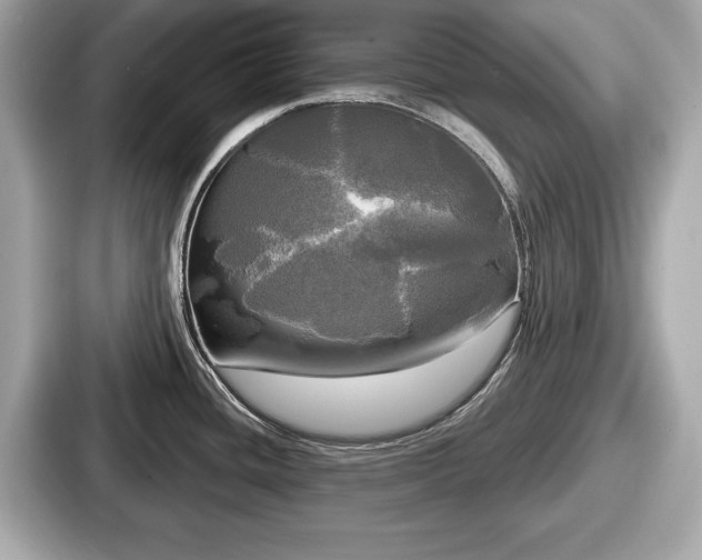 X0000087631436200705101019