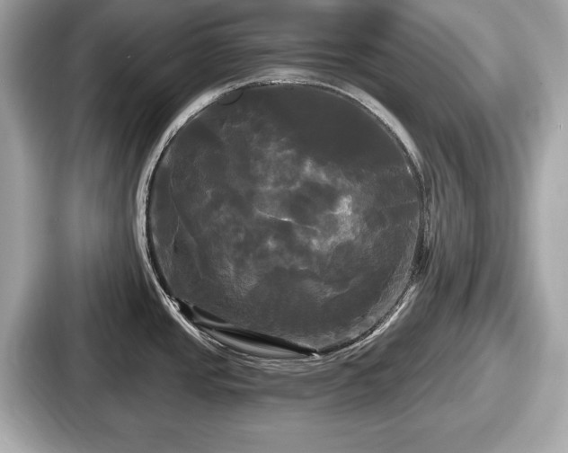 X0000087631437200705101019