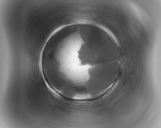 X0000087631439200705101019