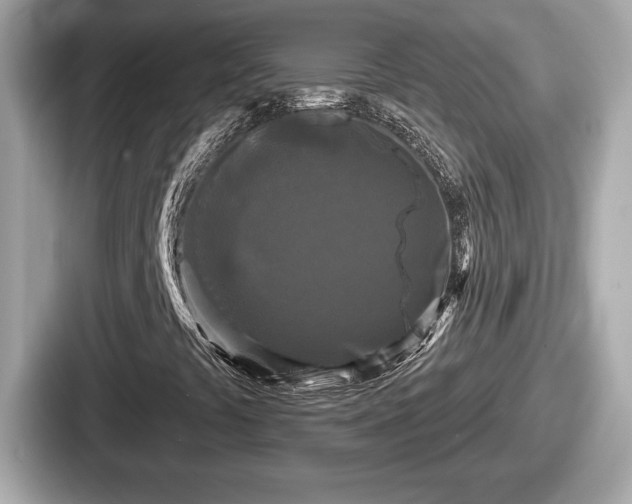 X0000087631441200705101018