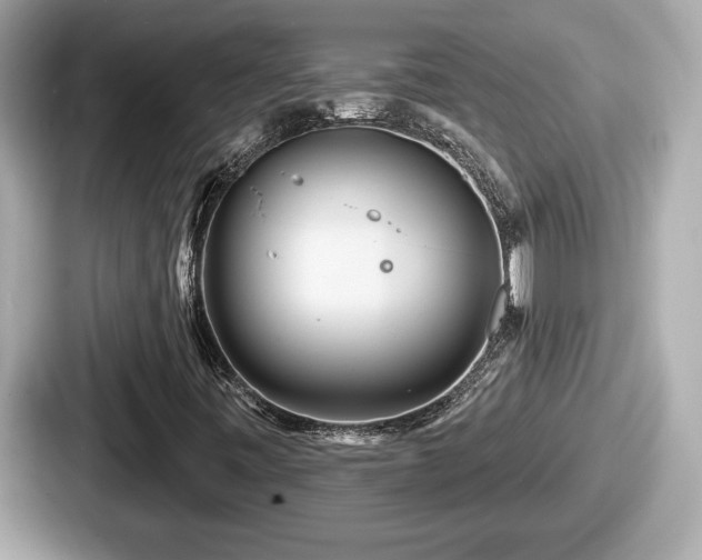 X0000087631443200705101018