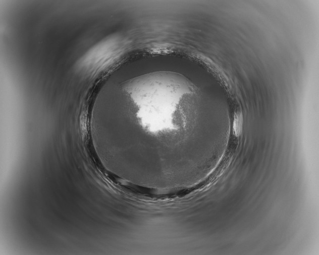 X0000087631444200705101018