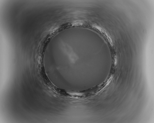 X0000087631445200705101018