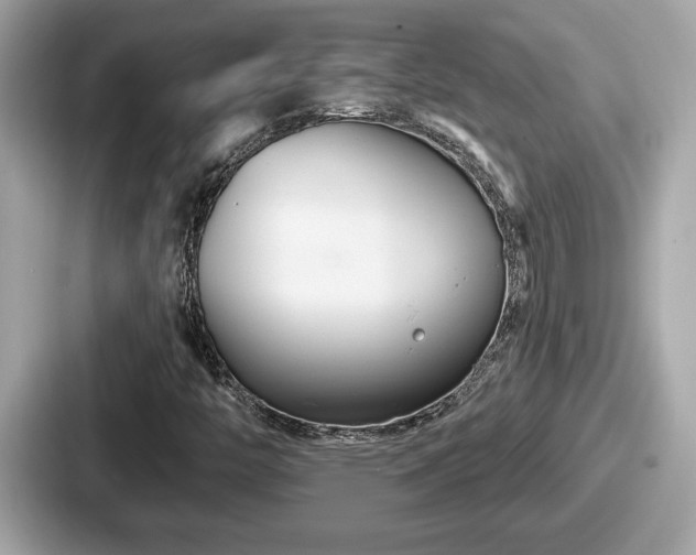 X0000087631446200705101018