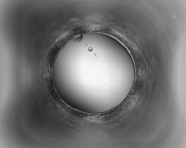 X0000087631447200705101018