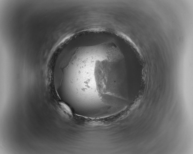 X0000087631448200705101018