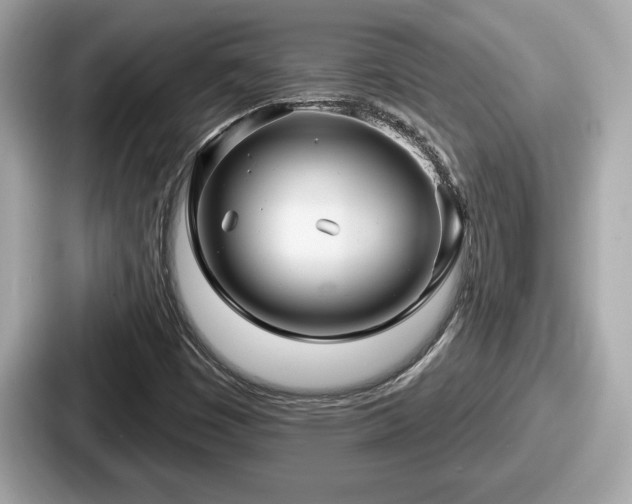 X0000087631449200705101018