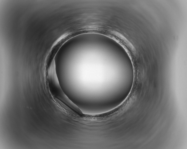 X0000087631450200705101018