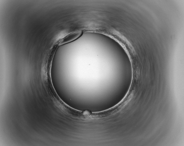 X0000087631451200705101018