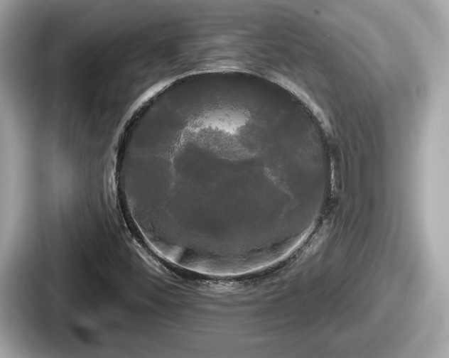 X0000087631452200705101018