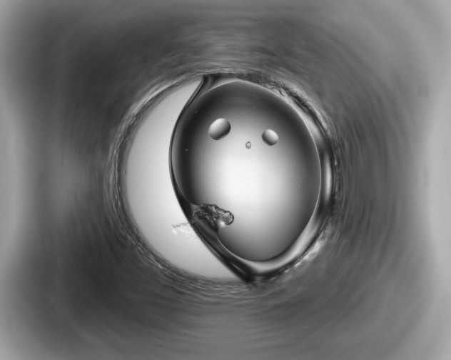 X0000087631453200705101018