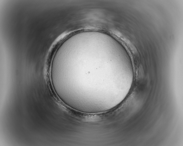 X0000087631454200705101018