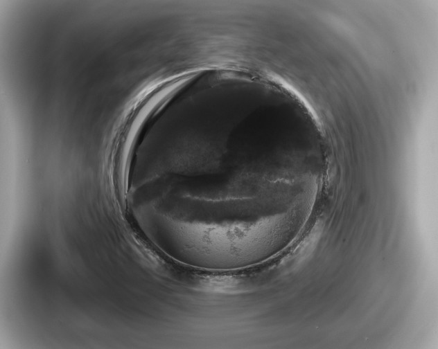 X0000087631455200705101018