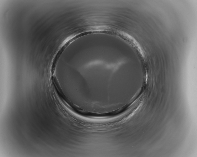 X0000087631457200705101018