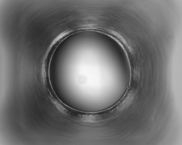 X0000087631458200705101018