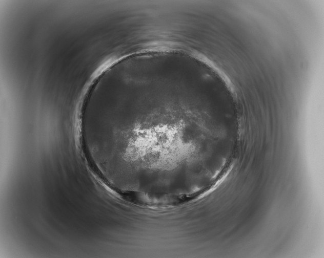 X0000087631459200705101018