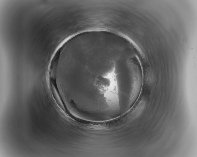 X0000087631460200705101018