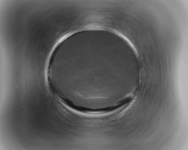 X0000087631461200705101018