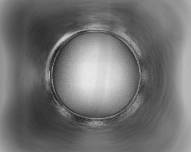 X0000087631462200705101018