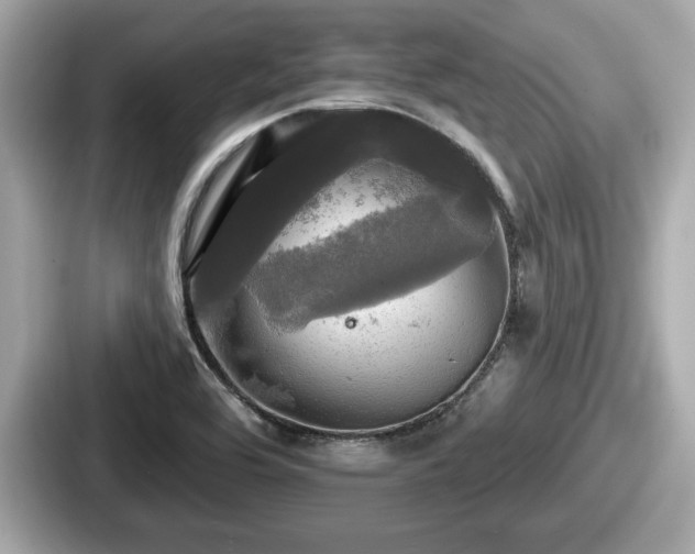 X0000087631464200705101018