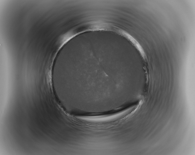 X0000087631465200705101018