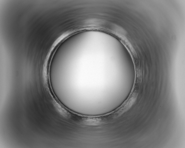 X0000087631466200705101018