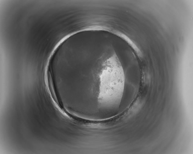 X0000087631468200705101018