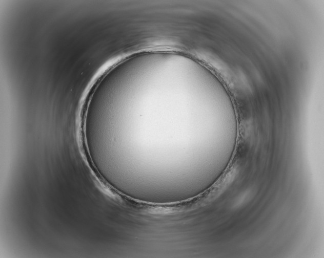 X0000087631470200705101018