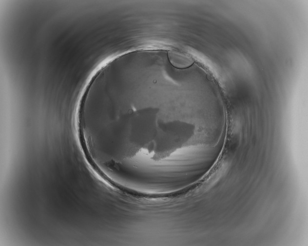 X0000087631471200705101018