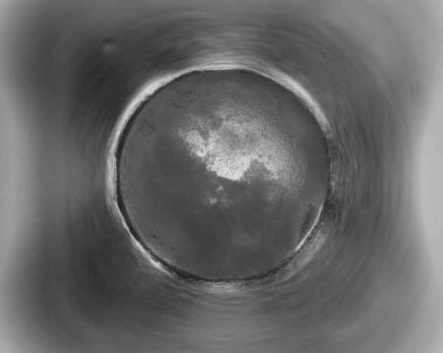 X0000087631472200705101018